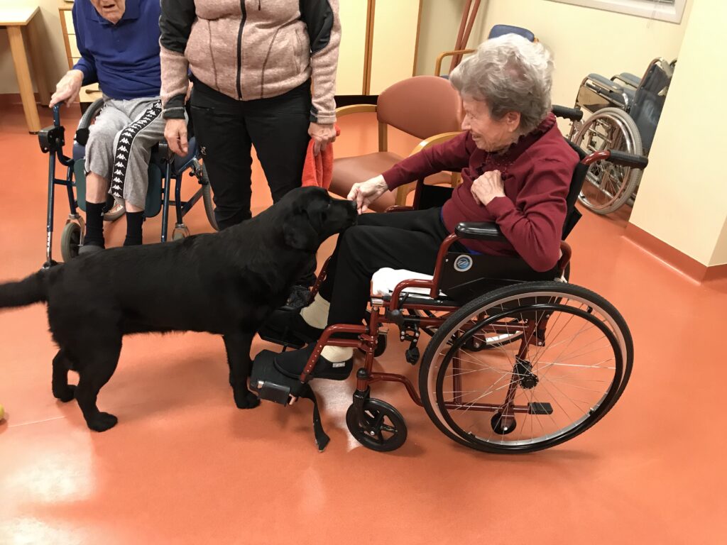 Attività – Pet therapy