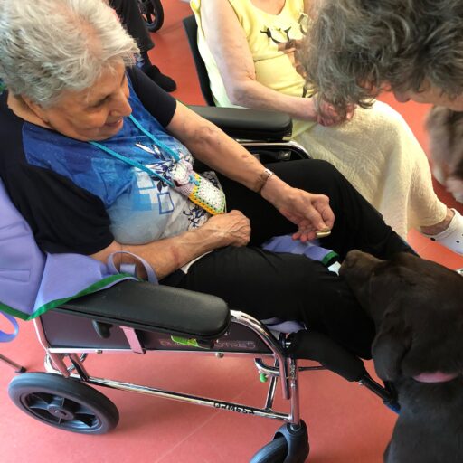 Martedi 9 giugno: Incontro finale del Progetto di Pet Therapy