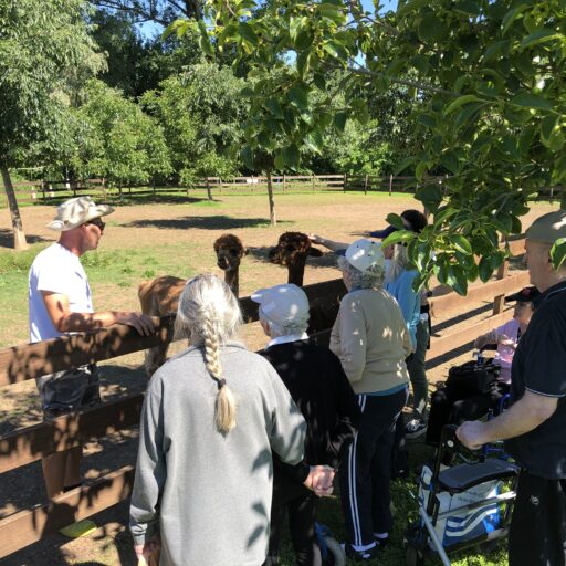 Giovedi 21 maggio: visita alla fattoria I giardini di Lo a Montagnana