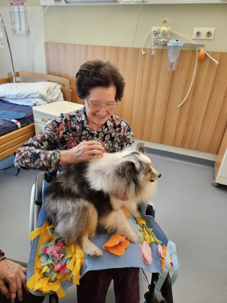Attività – Incontro Finale di Pet Therapy